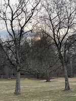 https://images.plurk.com/6JJ8Vo1zFY23JMYWFPoYSg.jpg