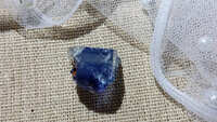 https://images.plurk.com/6JPKXDwEu1yAzJD62XXzAq.jpg