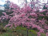 https://images.plurk.com/6JWbmqjI5IzBQMOXj875tu.jpg