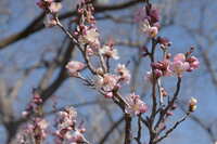 https://images.plurk.com/6JayjrwNoXlUzoRh8aPCwG.jpg