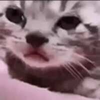 https://images.plurk.com/6JhbD7NomOcX9IVh65OHwO.jpg