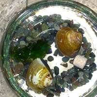 https://images.plurk.com/6JmYnuRYXa8123OpxZWlea.jpg