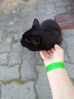 https://images.plurk.com/6Jq3zbBqQT65kVWdCQIhZc.jpg