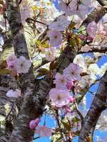 https://images.plurk.com/6JrpOHyBY7lfW8PL43XfcY.jpg