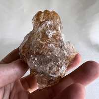 https://images.plurk.com/6Jsb3fb1hmhOaGYru28ZEs.jpg