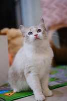 https://images.plurk.com/6JyqRwi1S0b94JP2Mm9stg.jpg