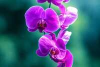 https://images.plurk.com/6K6oArbH5l0GOoj9Rw1sV9.jpg