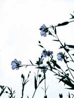 https://images.plurk.com/6KBDCOkfPPh1OfbLUHWa1o.jpg