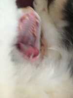 https://images.plurk.com/6KHA6lqSJkcx3qJYg5Ym0f.jpg