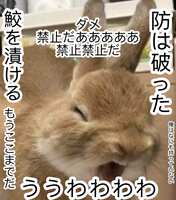 https://images.plurk.com/6KY3jj688fEXfOKndO2j3I.png