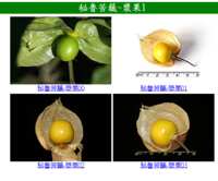 https://images.plurk.com/6KirE6GS95uzRzkUrww5uc.png
