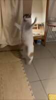 https://images.plurk.com/6KnGE7d1hzk0wsqFzkWz09.png