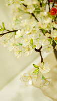 https://images.plurk.com/6KpNhhaqWS3uvFX731gOAz.jpg