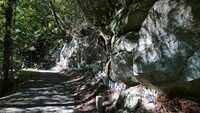 https://images.plurk.com/6KxYLynGqzNDy6f0pXkYnp.jpg