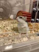 https://images.plurk.com/6L2EJ0fDfb6AuLxMITQoDS.jpg