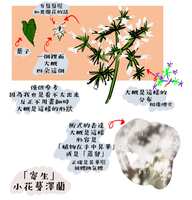 https://images.plurk.com/6LHxCBJuOOB6Zfu6vlCNVI.jpg
