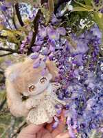 https://images.plurk.com/6LJ87Bx0x0qbZyzKTuUeKq.jpg