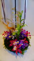 https://images.plurk.com/6LKVUGJFPbUWfX4sXmJNJB.jpg