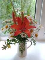 https://images.plurk.com/6LN5UuEyX7s0vJ499RQk5q.jpg