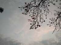 https://images.plurk.com/6LT7wePUJnsgs1aR2HzhKb.jpg