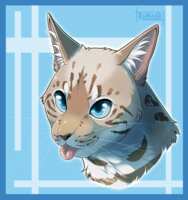 https://images.plurk.com/6LYtgTYQXusABBnwCRSv8C.png
