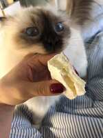 https://images.plurk.com/6LcXKiRVwp0tgL9YzVq1eR.jpg