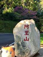 https://images.plurk.com/6LcqH2VOPwJS7GuLr3DohO.jpg