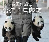 https://images.plurk.com/6LlRW5OFp5oLVgL1kDcqdz.jpg