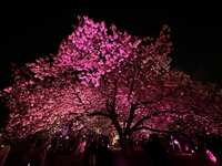 https://images.plurk.com/6Lnax7h4Ii5YcLQTrSqRQ6.jpg