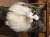 https://images.plurk.com/6LvDV6bGDw4lYbfLdSCeF6.jpg