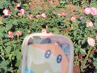 https://images.plurk.com/6Lvm7ZLijc6i9UwqMUcMcn.jpg