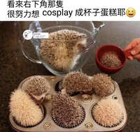 https://images.plurk.com/6Lw77FqQfCFKgZydXZCOW6.jpg