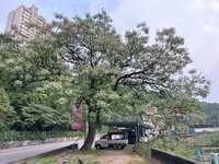 https://images.plurk.com/6LxX3nfEaLyTfZZ6cbZkoR.jpg