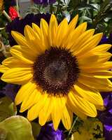 https://images.plurk.com/6M3DI2ktmS5a606SQxef4B.jpg