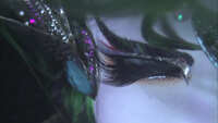 https://images.plurk.com/6M3XtwQNDWip2ojfEBbmbu.jpg