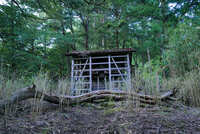 https://images.plurk.com/6M6aeMwaGtwN3txwgtnpYb.jpg
