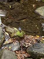 https://images.plurk.com/6MG7Ltcui0iUu6dUHvdHv9.jpg