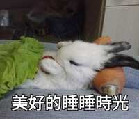 https://images.plurk.com/6MO1rgroVe6FZp4MpOUiMb.jpg