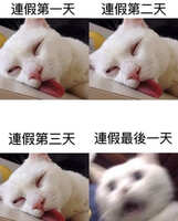 https://images.plurk.com/6MQ38jjdeJe4pXAYTJ80za.jpg