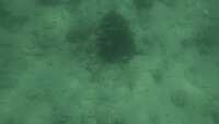 https://images.plurk.com/6MSkBG8I88KJMGKhCTMez.jpg