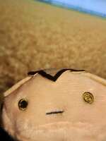 https://images.plurk.com/6MbtmAEgDvPWWDcxBIBYXK.jpg