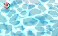 https://images.plurk.com/6Mmi9bioTHEDlkWrAP5NeU.png