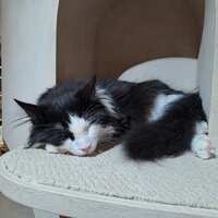 https://images.plurk.com/6MpPN2HuqFBfOFTrQDPr9G.jpg