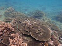 https://images.plurk.com/6N275Ml89Mf48tcLxmTKEw.jpg