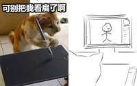 https://images.plurk.com/6N9DXIKA9IhQKIZlw9WVMN.jpg