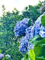 https://images.plurk.com/6NE0jqtFH8Cm0utEKHo73e.jpg