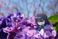 https://images.plurk.com/6NEwgfErTRNYnE8bKousKB.jpg