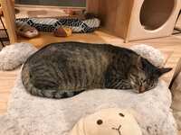 https://images.plurk.com/6NGb1ravGN36yDr9LcSntW.jpg