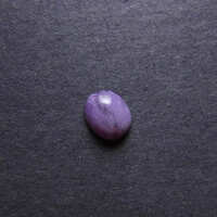 https://images.plurk.com/6NN3f1WRLGK3z5jze2KxLc.jpg