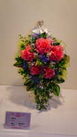 https://images.plurk.com/6NP8yf9pJ3ddSenMraLQSm.jpg